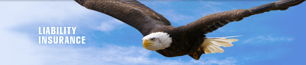 Professional Liability Insurance and Eagle