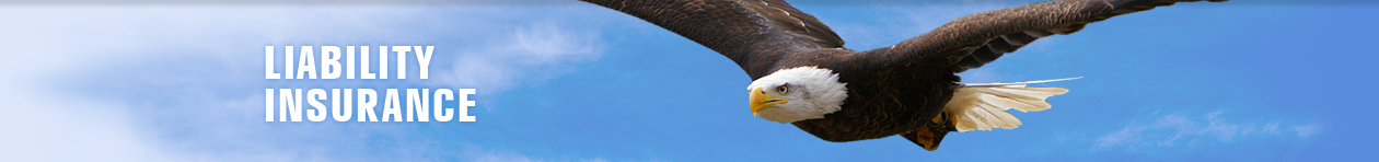 Professional Liability Insurance and Eagle