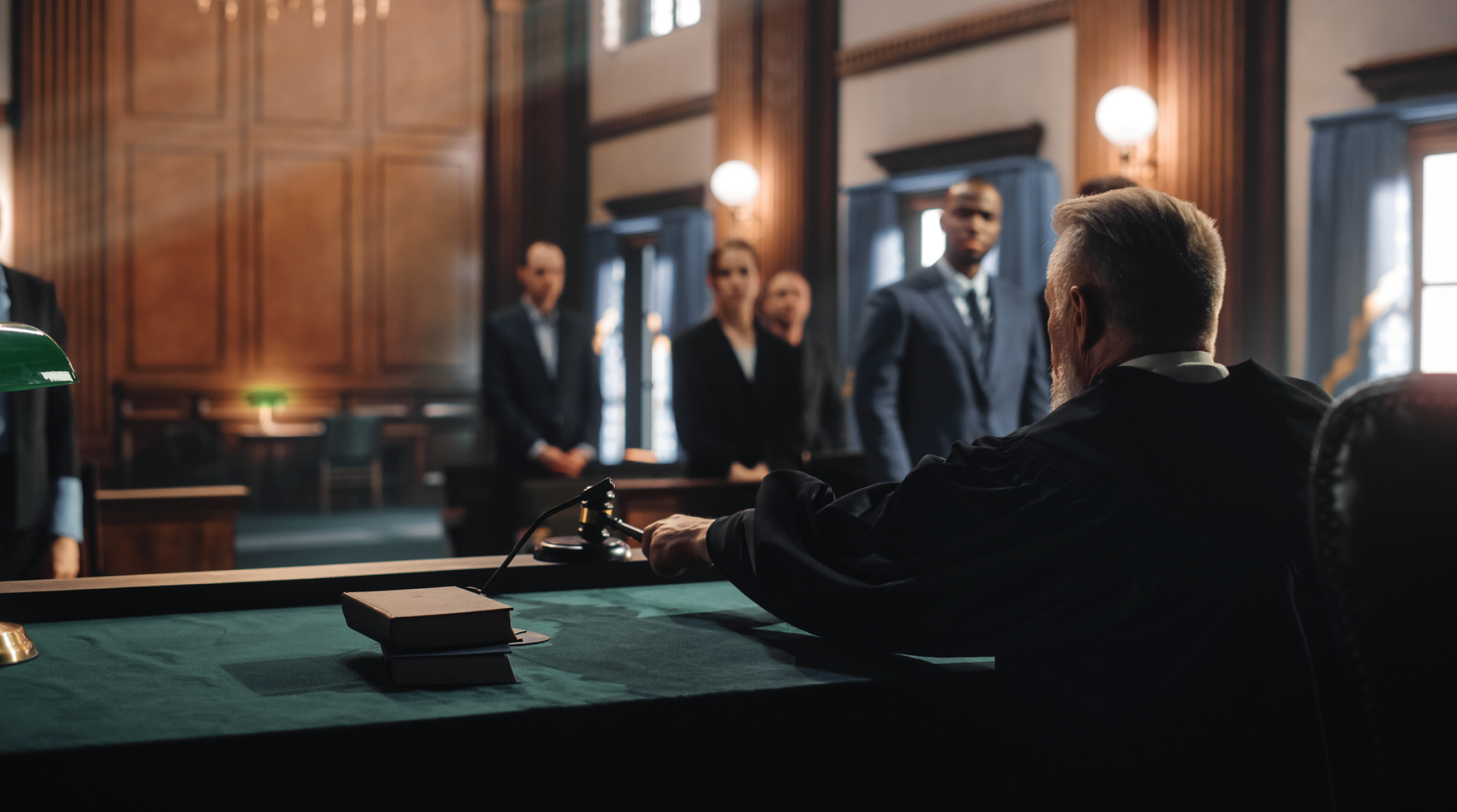 Federal Judges Product Image